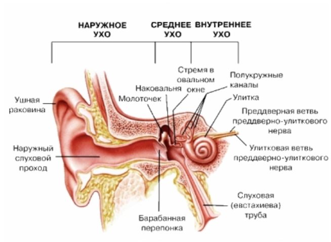 симптоми хвороби Меньєра