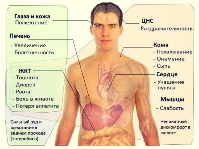 Симптоми при паразитів