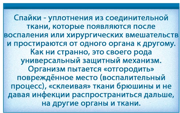 Плеврит легких – що це таке, його причини, види, симптоми і можливі варіанти лікування