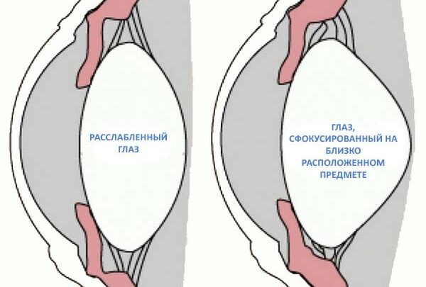 Іріфрін БК – очні краплі: інструкція із застосування