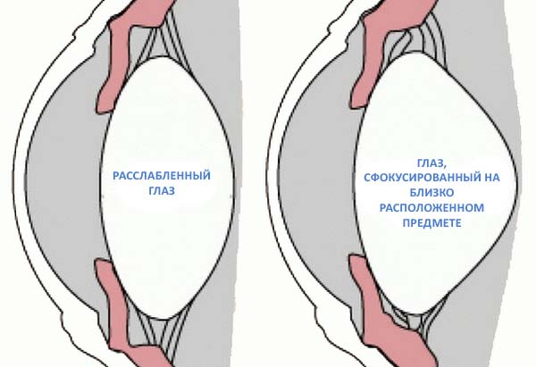 Іріфрін БК – очні краплі: інструкція із застосування