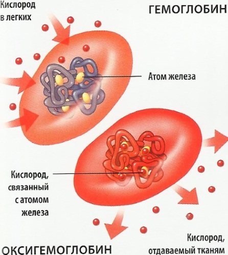 Спелеокамера.  Показання для дітей, жінок при вагітності, протипоказання, відгуки лікарів