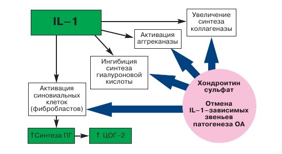 Засоби, що стимулюють регенерацію Нижфарм Хондроксид - відгуки