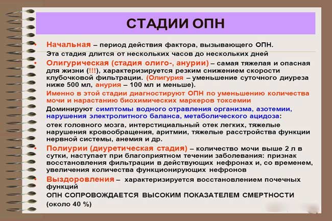 Стадії гострої ниркової недостатності