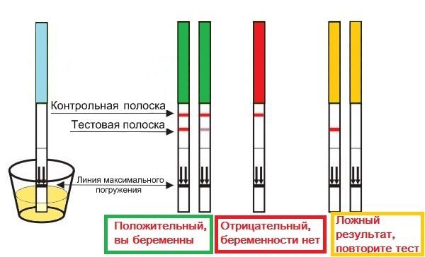 Струменевий тест на вагітність правила використання різних видів і принцип дії