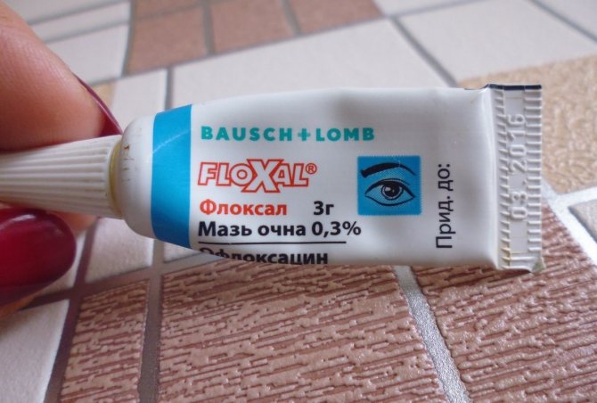 Те ж засіб, але від Bausch {amp} amp; Lomb