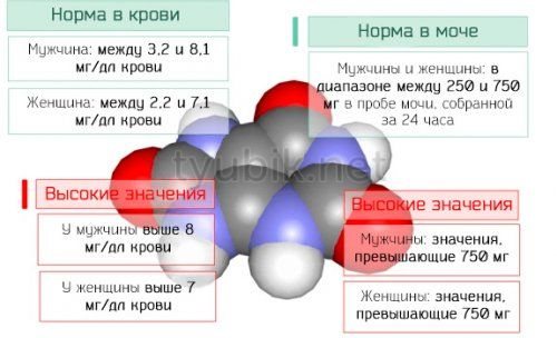 Яка різниця між препаратами Лозап і Лозап Плюс?